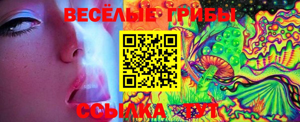 Галлюциногенные грибы Psilocybe Большой Камень